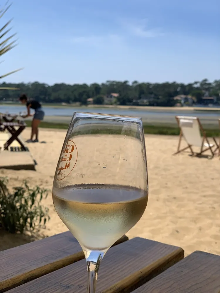 Tataki de Thon À la Mangue